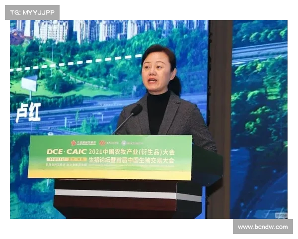 足球俱乐部转会市场利润分析与战略探讨 足球俱乐部转会市场利润分析与战略探讨