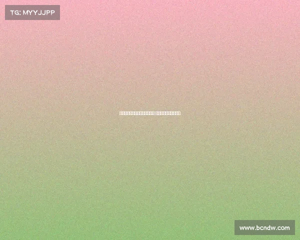 金塞拉：巴黎重启扎巴尔尼谈判 热刺密切关注局势发展